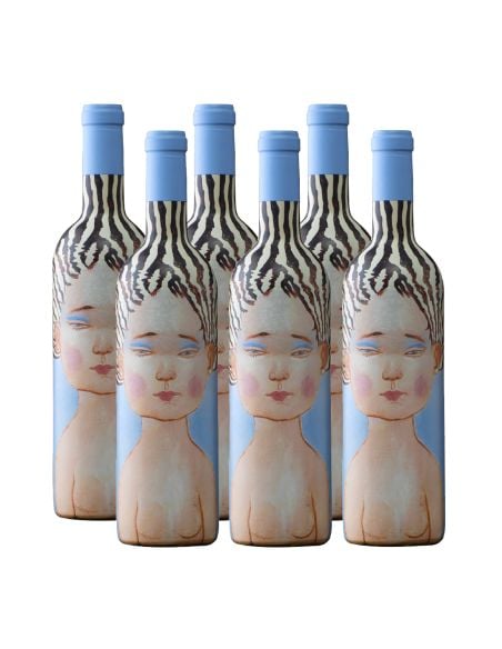 Pack 6 Ensamblaje, Super Premium, La Piu Belle Tinto, Viña VIK