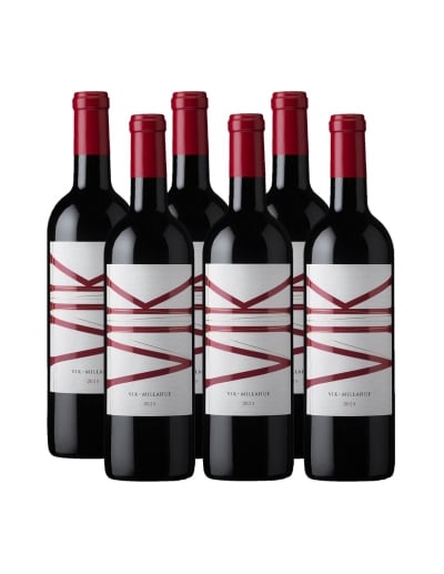 Pack 6 Ensamblaje, Ícono, Viña VIK