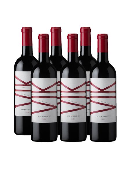 Pack 6 Ensamblaje, Ícono, Viña VIK