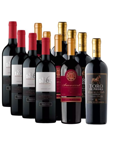 Pack 12 Mix Toro de Piedra RV, 1865 y Snowscent