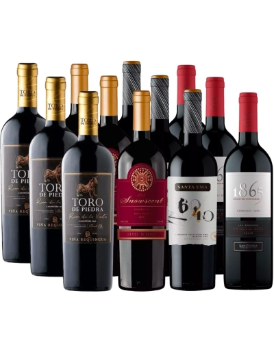 Pack Mix 12 vinos 1865, Santa Ema, Toro de Piedra y Snowscent