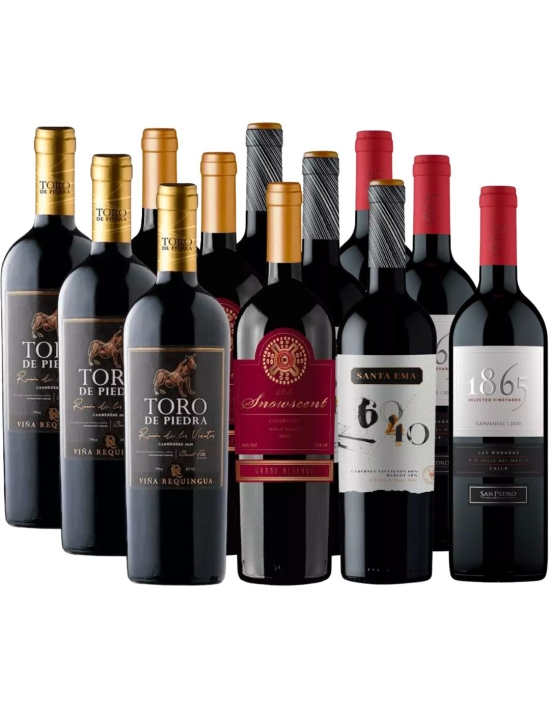 Pack Mix 12 vinos 1865, Santa Ema, Toro de Piedra y Snowscent