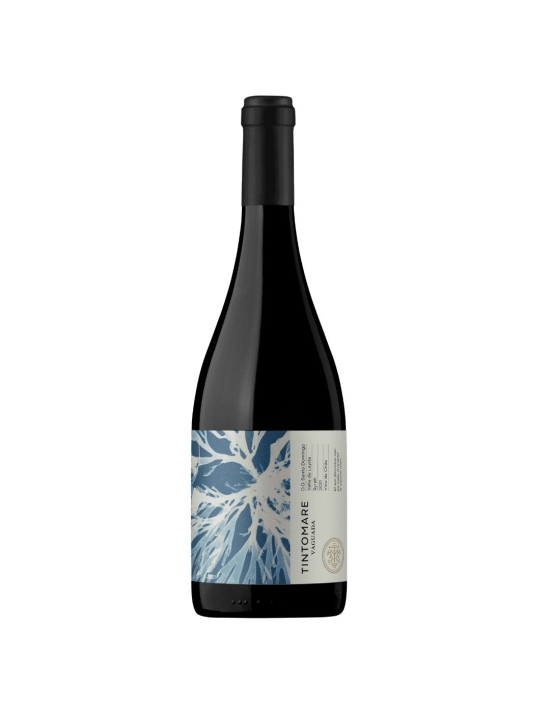 Syrah vaguada Super Premium Leyda, Tintomare