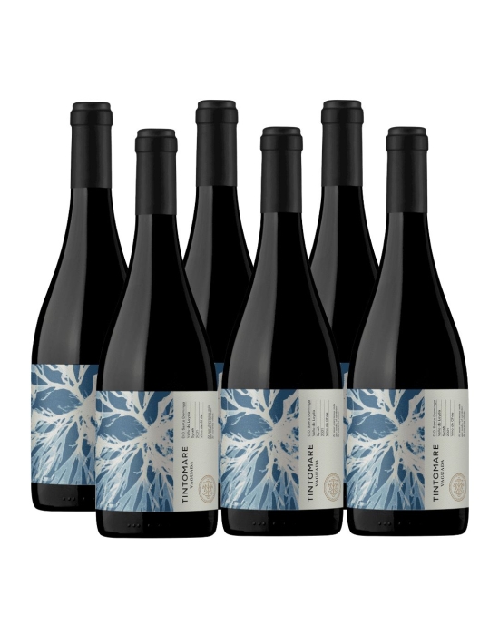 Pack 6 Syrah Super Premium Leyda, Tintomare