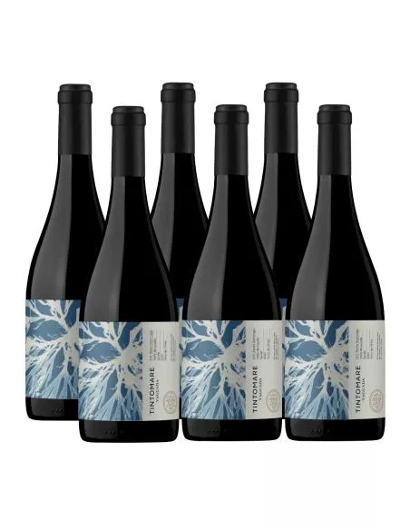 Pack 6 Syrah Super Premium Leyda, Tintomare