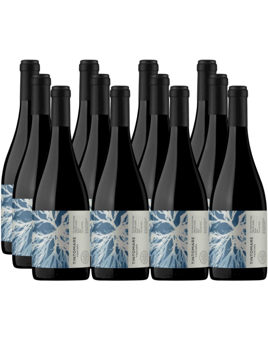 Exquisito Pack 12 Syrah Super Premium Vaguada Leyda, Tintomare en Oferta