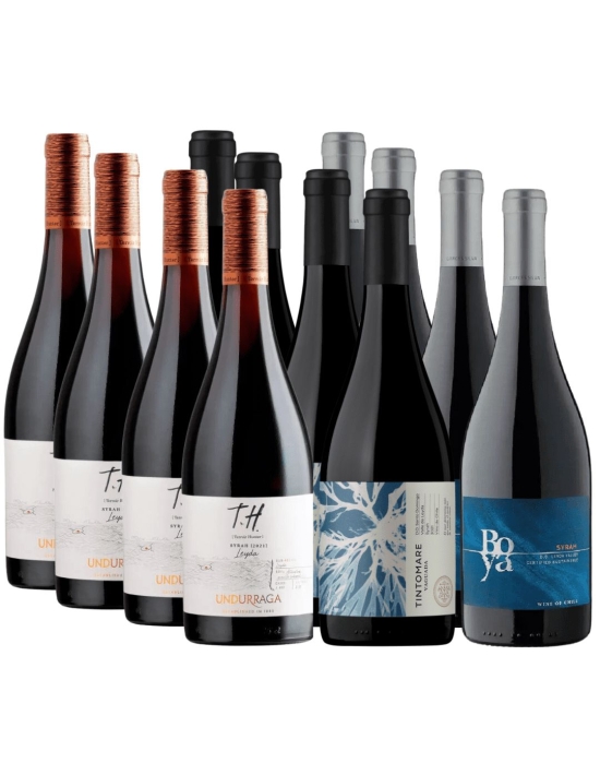 Pack Mix Syrah Premium