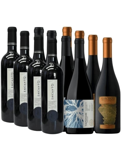 Pack Mix Encanto, Marchigue, Vaguada