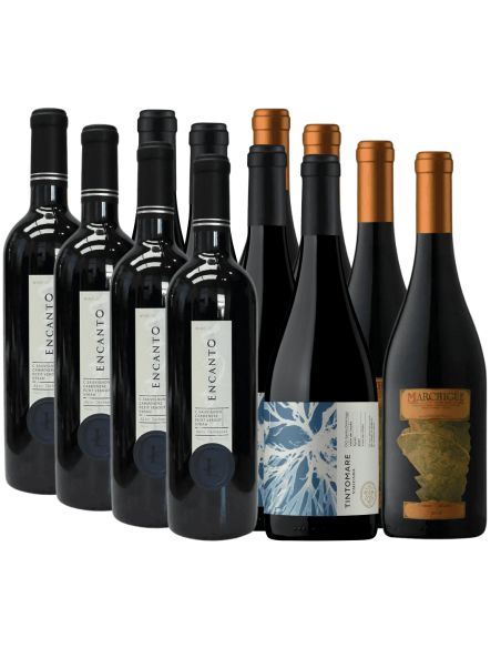 Pack Mix Encanto, Marchigue, Vaguada