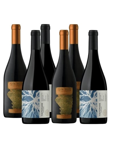 Pack 6 Mix Syrah Premium