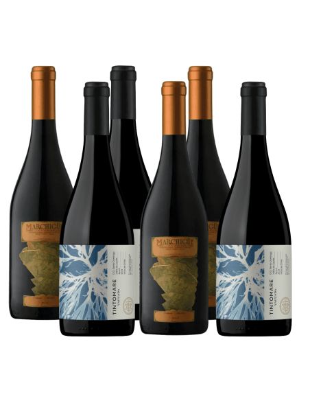 Pack 6 Mix Syrah Premium