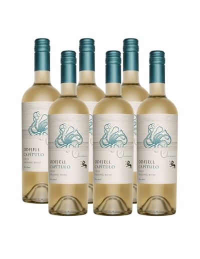 Pack 6 Ensamblaje Blanco, Gran Reserva, Flying Fish Capítulo, Viña Odfjell