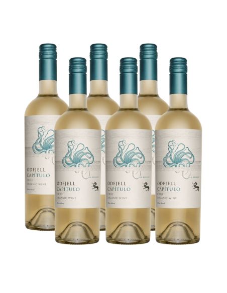 Pack 6 Ensamblaje Blanco, Gran Reserva, Flying Fish Capítulo, Viña Odfjell