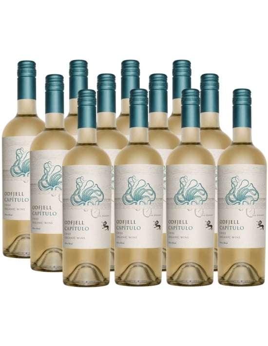 Pack 12 Ensamblaje Blanco, Gran Reserva, Flying Fish Capítulo, Viña Odfjell