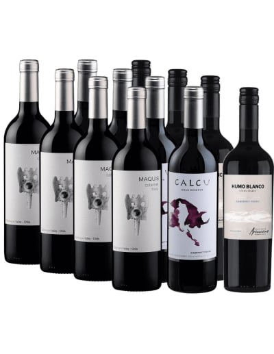 Pack Mix 12 Vinos Cabernet Franc, Maquis, Calcu, Humo Blanco