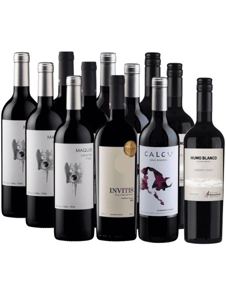 Pack Mix 12 Vinos Cabernet Franc, Humo Blanco, Invitis, Maquis, Calcu