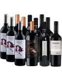 Pack Mix 12 Vinos Calcu, Toreto, Encanto, Humo Blanco