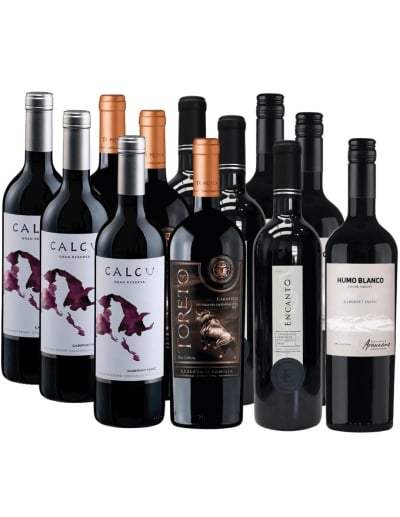 Pack Mix 12 Vinos Calcu, Toreto, Encanto, Humo Blanco