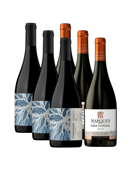 Pack 6 Syrah, Marques de Casa Concha, Tintomare Vaguada, Al mejor precio