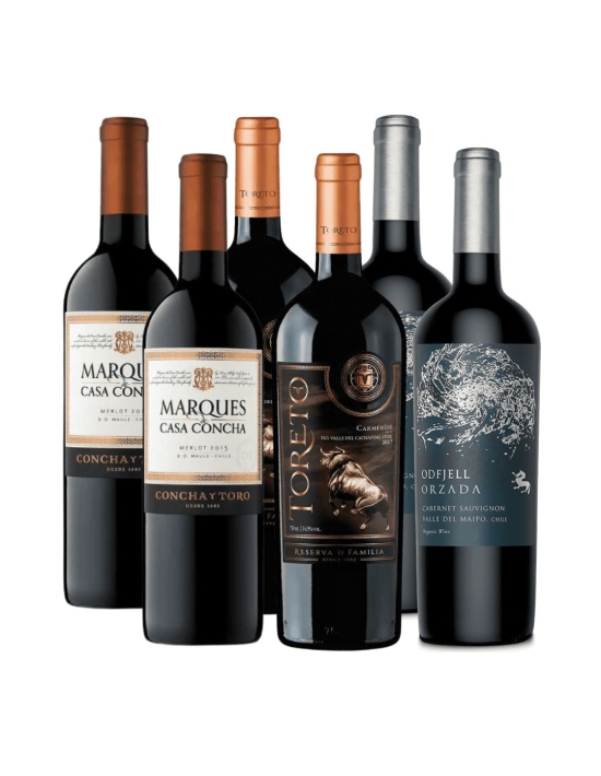 Pack 6, Marques de Casa Concha, Orzada, Toreto, venta de vinos