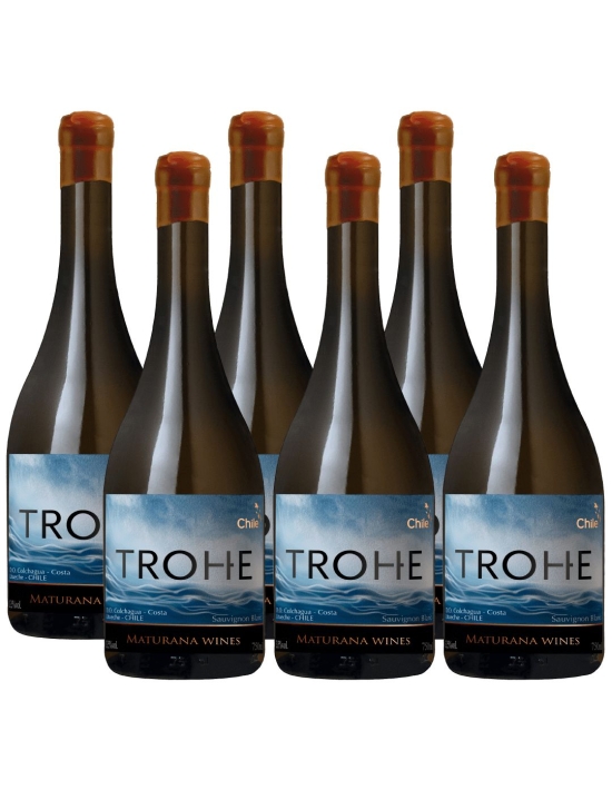 Pack 6 Sauvignon Blanc, Trohe, Premium, Maturana Winery