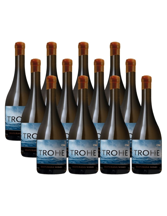 Pack 12 Sauvignon Blanc, Trohe, Premium, Maturana Winery