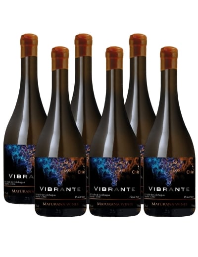Pack 6 Pinot Noir, Vibrante, Premium, Maturana Winery