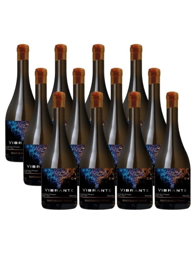 Pack 12 Pinot Noir, Vibrante, Premium, Maturana Winery