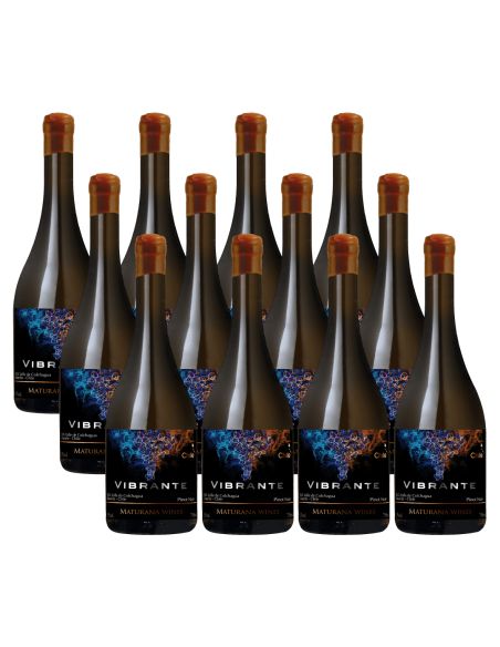 Pack 12 Pinot Noir, Vibrante, Premium, Maturana Winery
