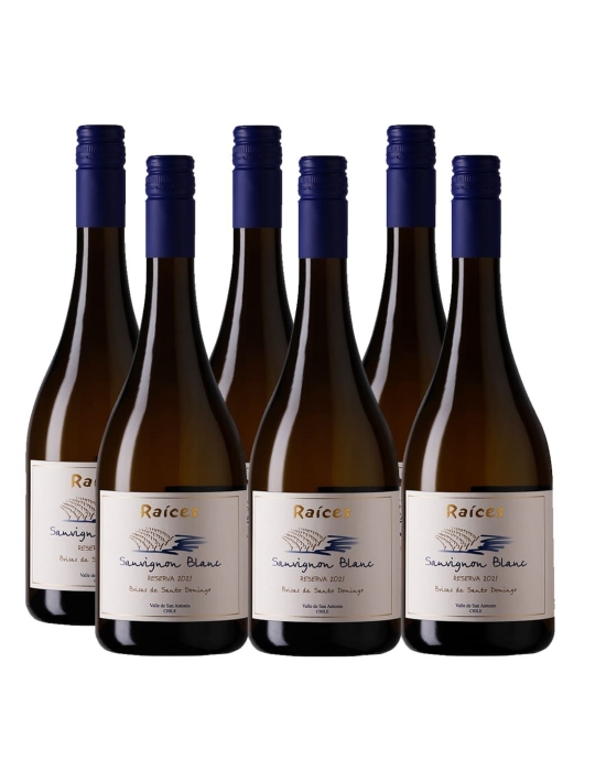 Pack 6 Sauvignon Blanc, Premium, Las Brisas, Las Pitras