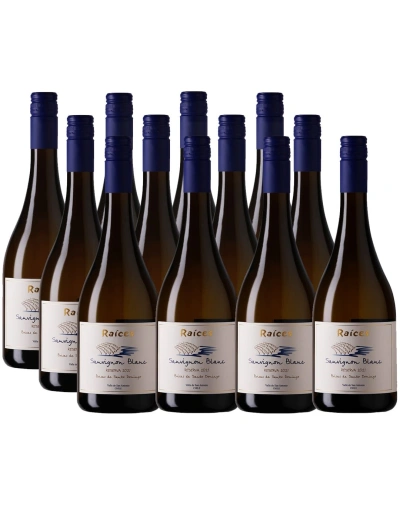 Pack 12 Sauvignon Blanc, Premium, Las Brisas, Las Pitras