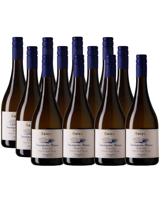 Pack 12 Sauvignon Blanc, Premium, Las Brisas, Las Pitras