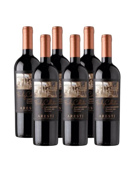 Pack 6 Vinos, Carmenere, Super Premium, Family Collection, Viña Aresti