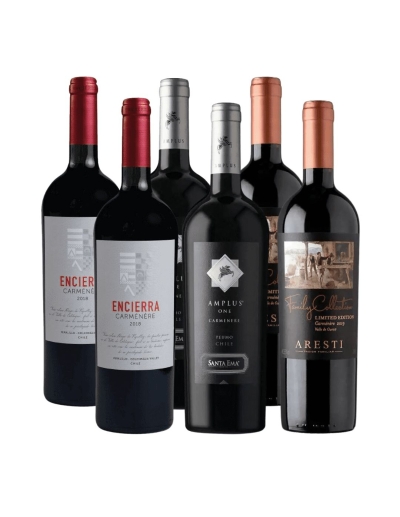 Pack 6 Mix Premium Carmenere, Family Collection, Amplus, Encierra
