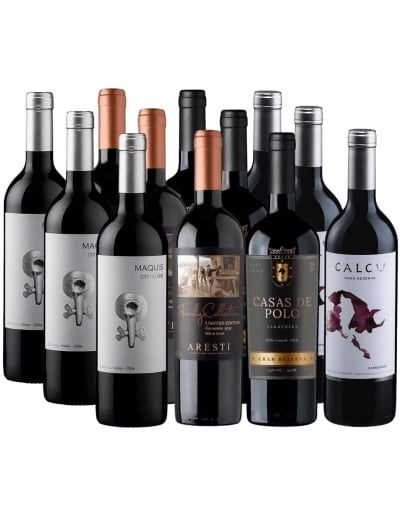 12 Vinos Carmenere, Maquis, Family Collection, Casas de Polo, Calcu
