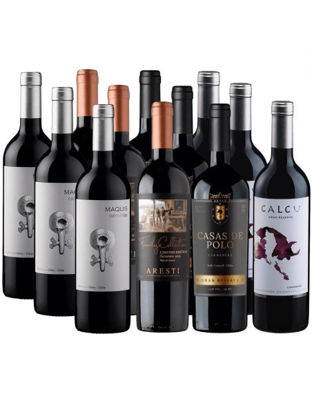 12 Vinos Carmenere, Maquis, Family Collection, Casas de Polo, Calcu