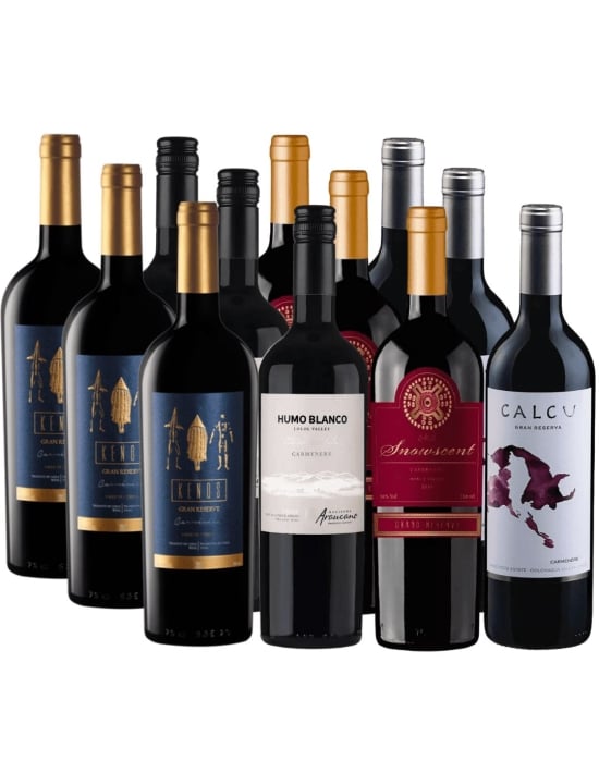 Pack 12 Vinos Carmenere , Kenos, Humo Blanco, Snowscent, Calcu