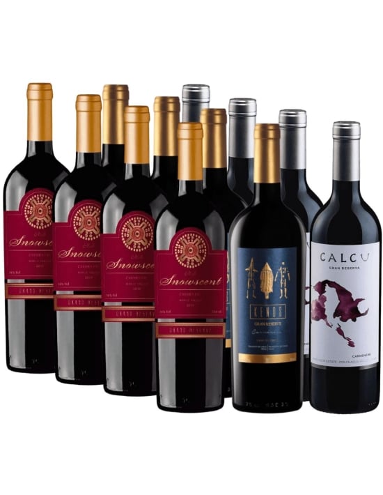 Pack 12 Vinos Carmenere , Snowcsent, Kenos, Calcu