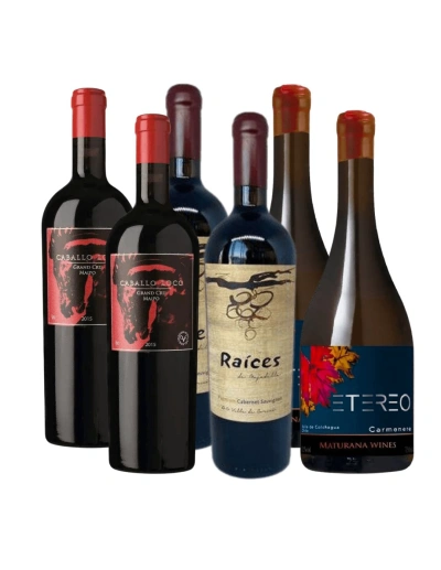 Pack 6 Mix Vinos Premium, Caballo Loco, Raices, Etereo