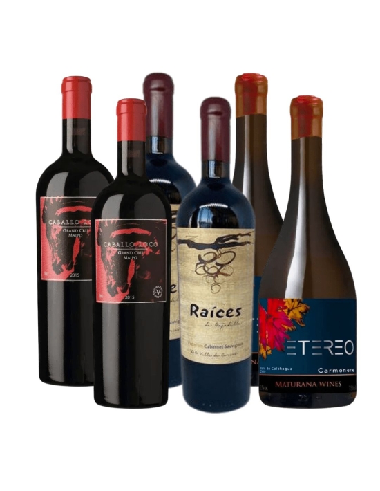 Pack 6 Mix Vinos Premium, Caballo Loco, Raices, Etereo
