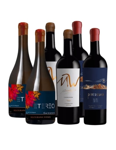 Pack 6 Mix Vinos Premium Maturana Wines