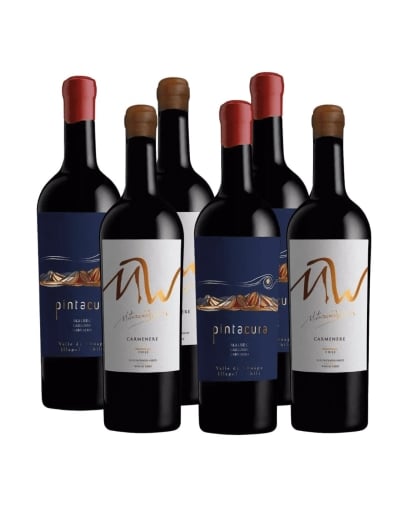 Pack 6 Mix Vinos Iconos Maturana Wines
