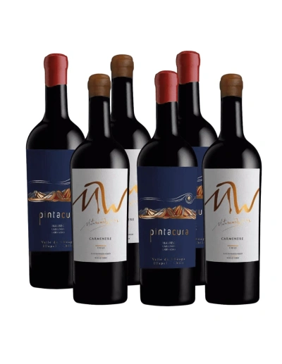 Pack 6 Mix Vinos Iconos Maturana Wines