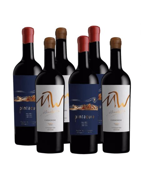 Pack 6 Mix Vinos Iconos Maturana Wines