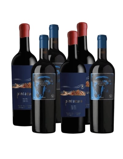 Pack 6 Mix Vinos Iconos y Super Premium