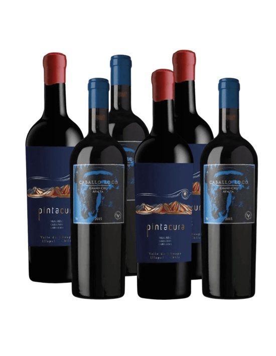 Pack 6 Mix Vinos Iconos y Super Premium