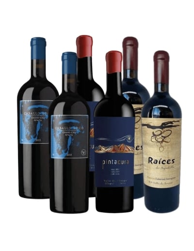 Pack 6 Mix Caballo Loco, Las Pitras y Pintacura