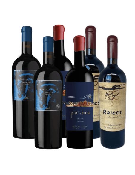 Pack 6 Mix Caballo Loco, Las Pitras y Pintacura