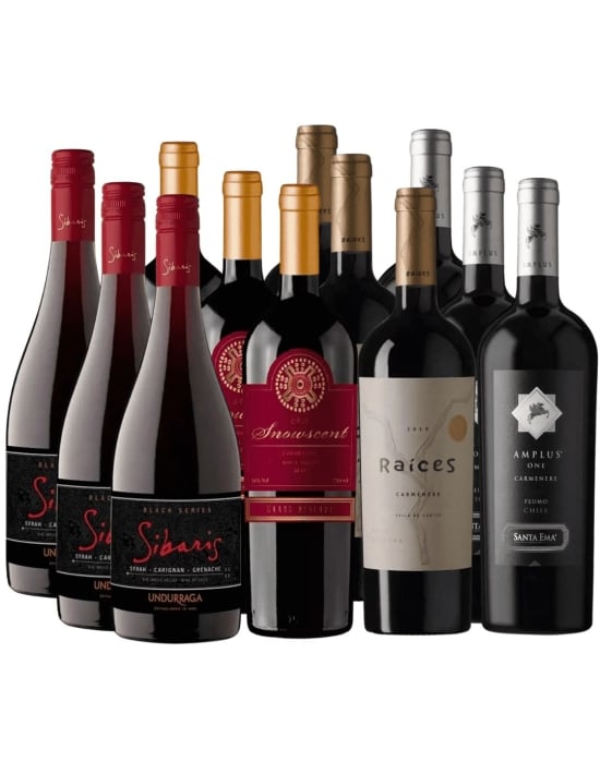 Pack 12 Vinos, Sibaris Black, Raíces, Snowscent, Amplus