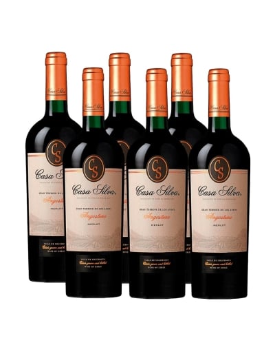 Pack 6 vinos, Merlot, Gran Terroir, Casa Silva